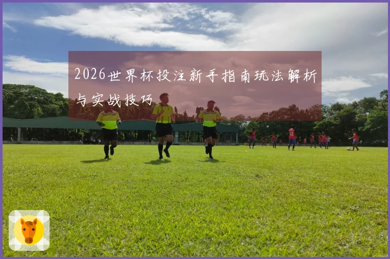 2026世界杯投注新手指南玩法解析与实战技巧