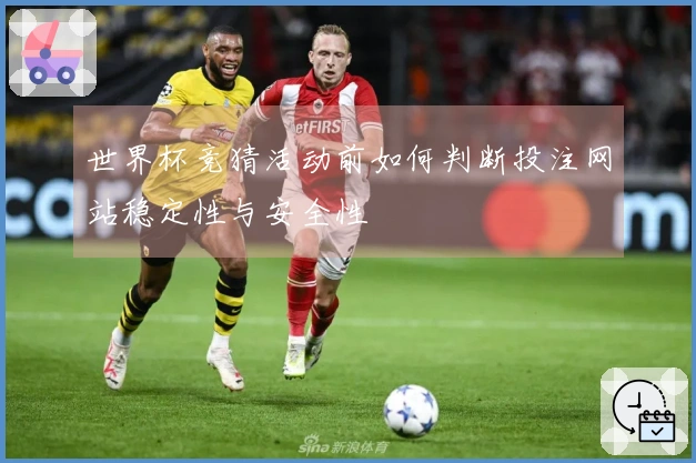 世界杯竞猜活动前如何判断投注网站稳定性与安全性