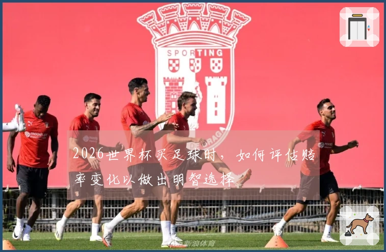 2026世界杯买足球时，如何评估赔率变化以做出明智选择
