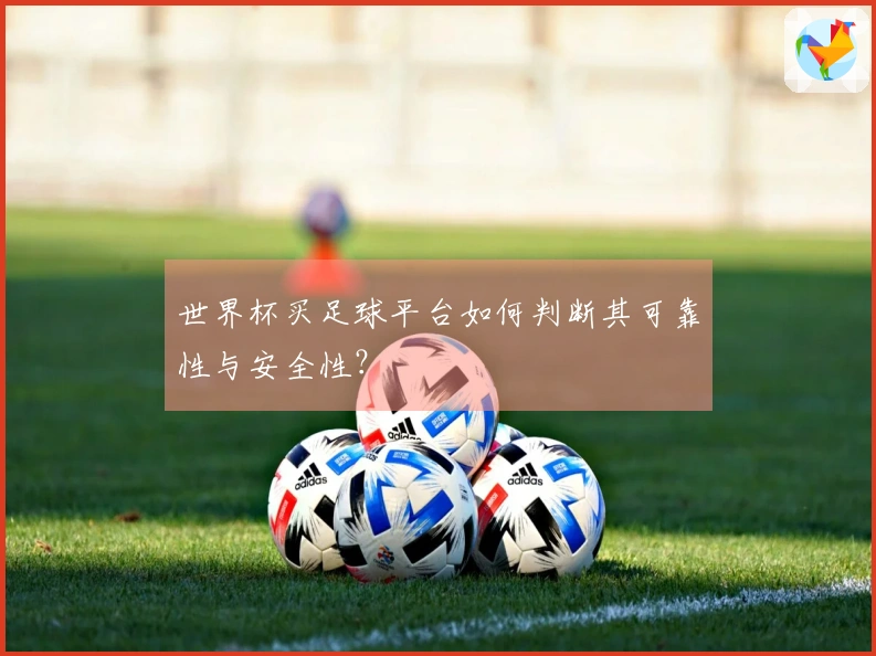 世界杯买足球平台如何判断其可靠性与安全性？