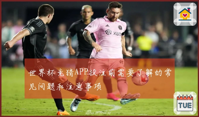 世界杯竞猜APP投注前需要了解的常见问题和注意事项
