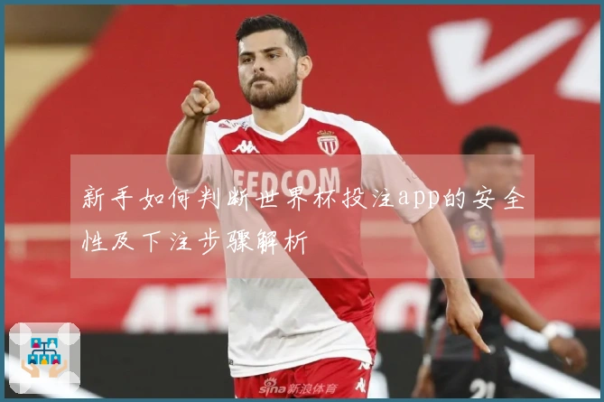 新手如何判断世界杯投注app的安全性及下注步骤解析