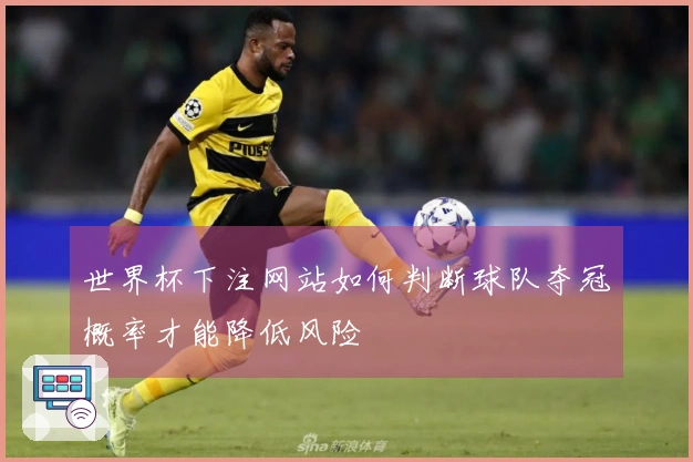世界杯下注网站如何判断球队夺冠概率才能降低风险
