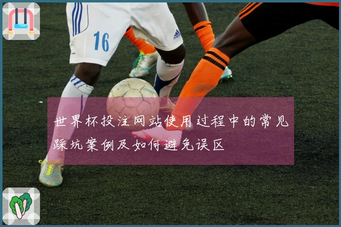 世界杯投注网站使用过程中的常见踩坑案例及如何避免误区