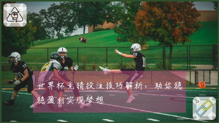 世界杯竞猜投注技巧解析，助你稳稳盈利实现梦想