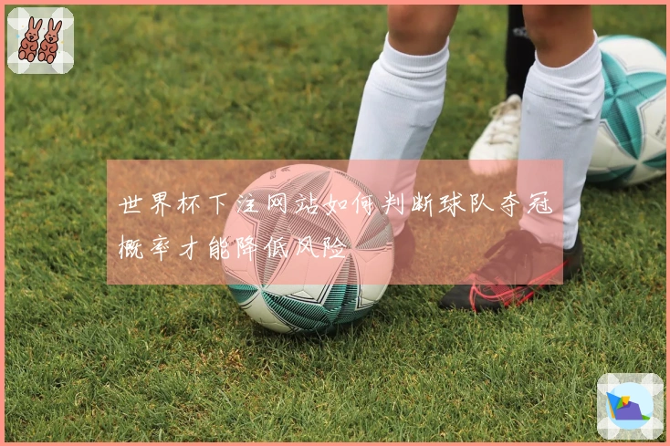 世界杯下注网站如何判断球队夺冠概率才能降低风险