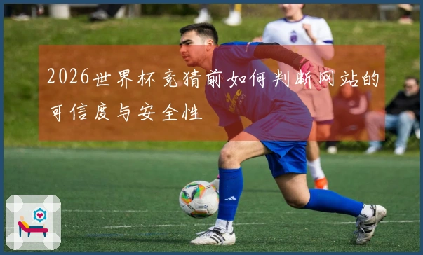 2026世界杯竞猜前如何判断网站的可信度与安全性