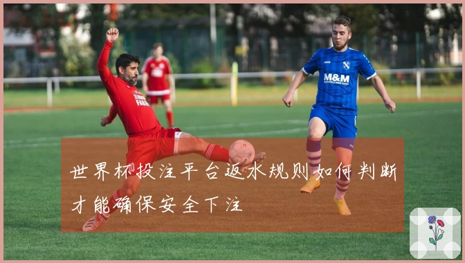 世界杯投注平台返水规则如何判断才能确保安全下注