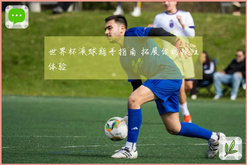 世界杯滚球新手指南 拓展你的投注体验