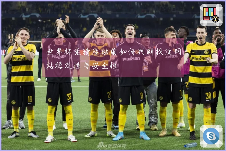 世界杯竞猜活动前如何判断投注网站稳定性与安全性