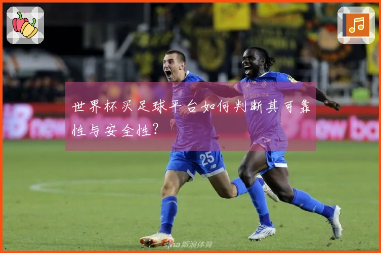 世界杯买足球平台如何判断其可靠性与安全性？