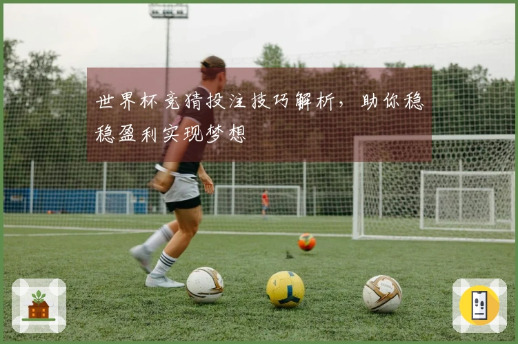 世界杯竞猜投注技巧解析，助你稳稳盈利实现梦想